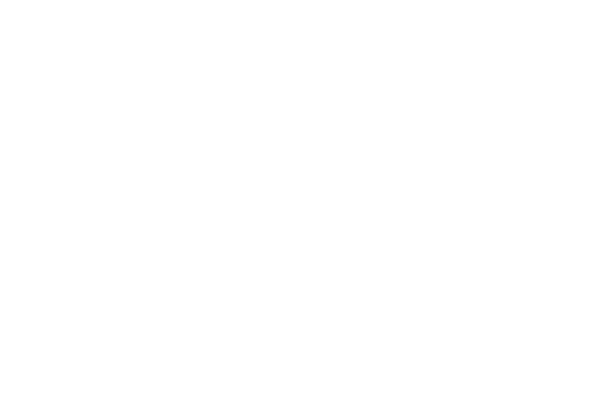 Logo_Rawsome_Delights_weiss